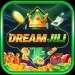 DreamJILI